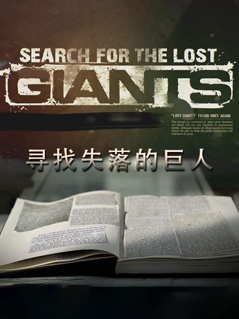 寻找失落的巨人封面图