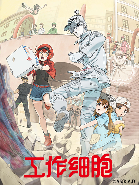 工作细胞封面图