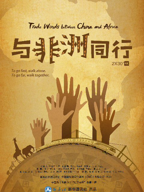 与非洲同行封面图