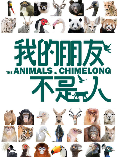 我的朋友不是人封面图