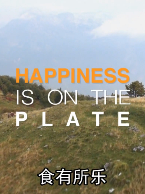 食有所乐封面图