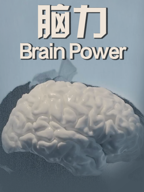 脑力封面图
