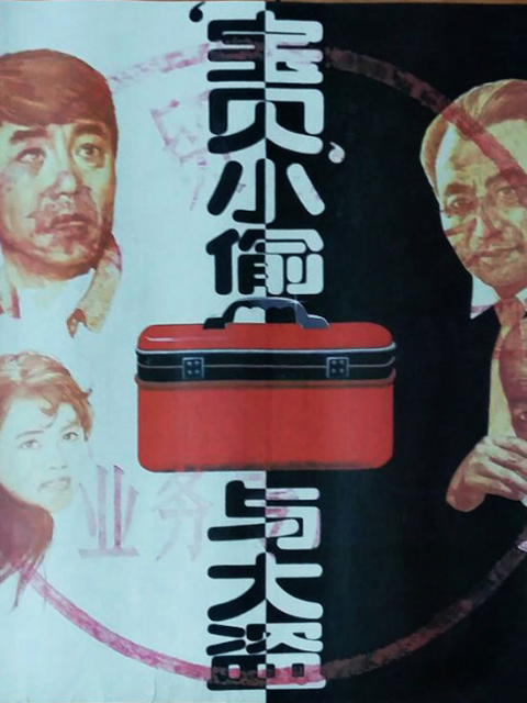 宝贝小偷与大盗封面图