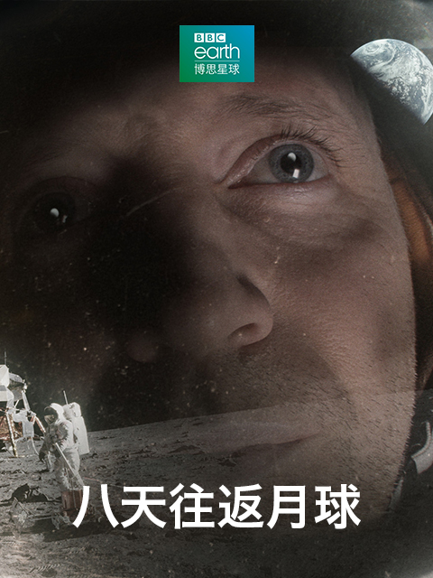八天往返月球封面图
