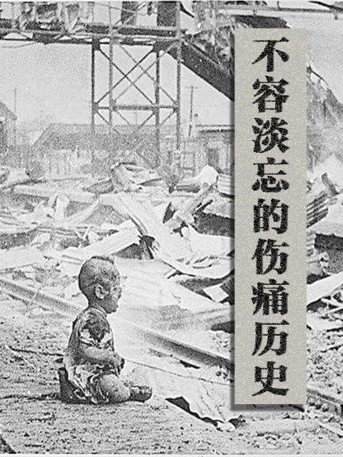 不容淡忘的伤痛历史封面图