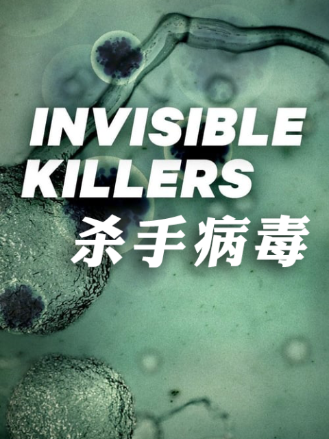 杀手病毒封面图