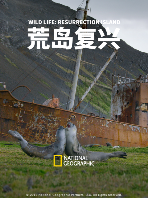 荒岛复兴封面图