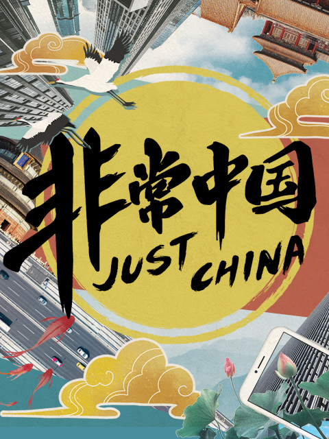 非常中国封面图