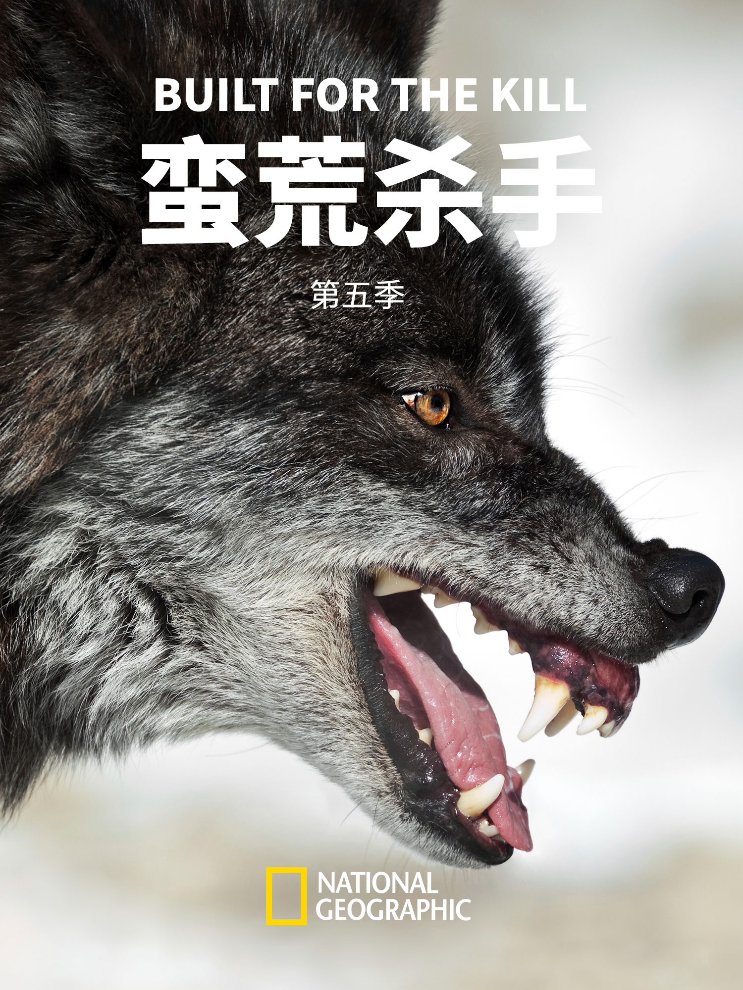 蛮荒杀手 第五季封面图