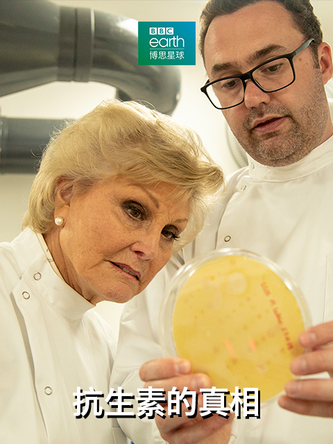 抗生素的真相封面图