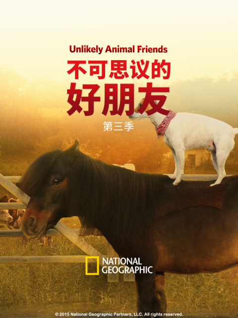 不可思议的好朋友 第三季封面图