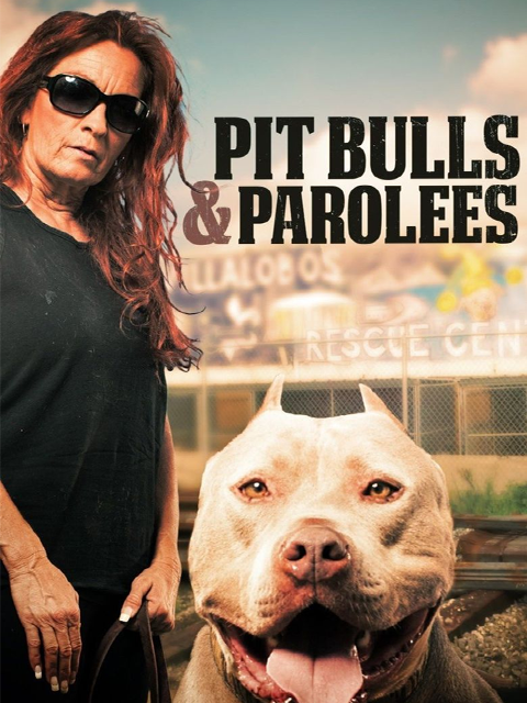 狗儿救援迎新生 第十季封面图