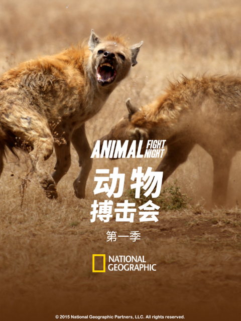 动物搏击会 第一季封面图