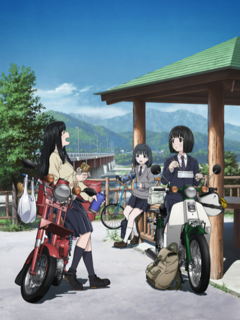 本田小狼与我封面图