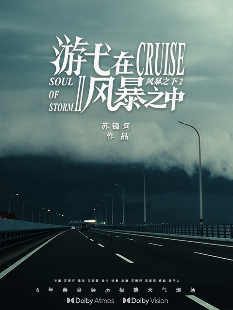 游弋在风暴之中封面图