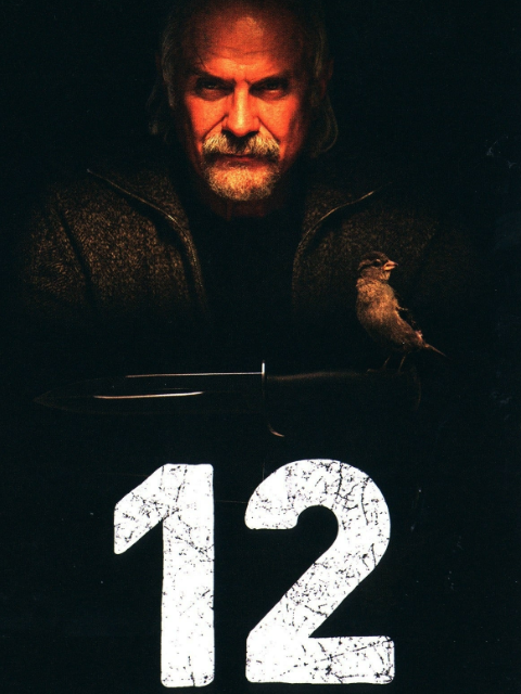 十二怒汉:大审判封面图