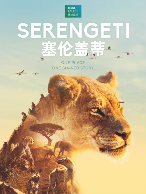 塞伦盖蒂封面图