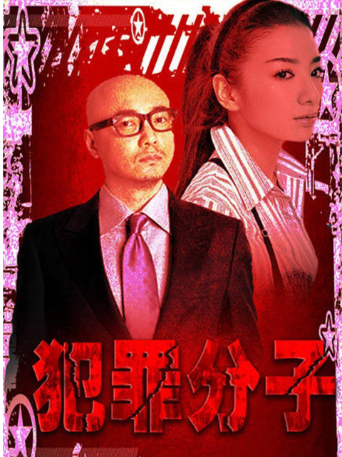 犯罪分子封面图