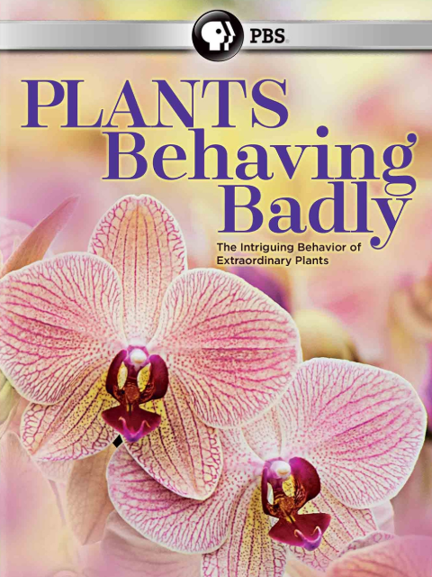 行为恶劣的植物封面图