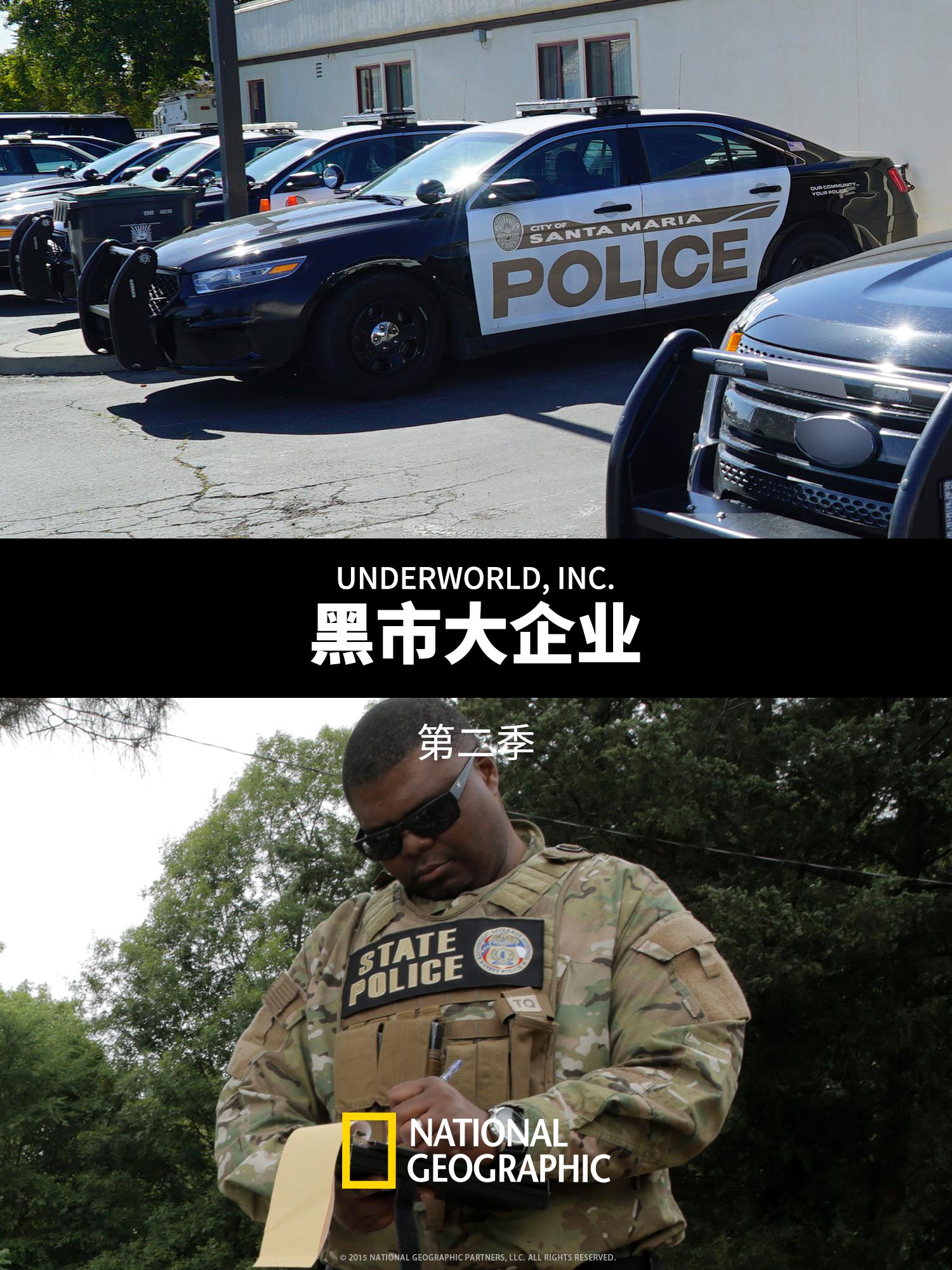 黑市大企业 第二季封面图