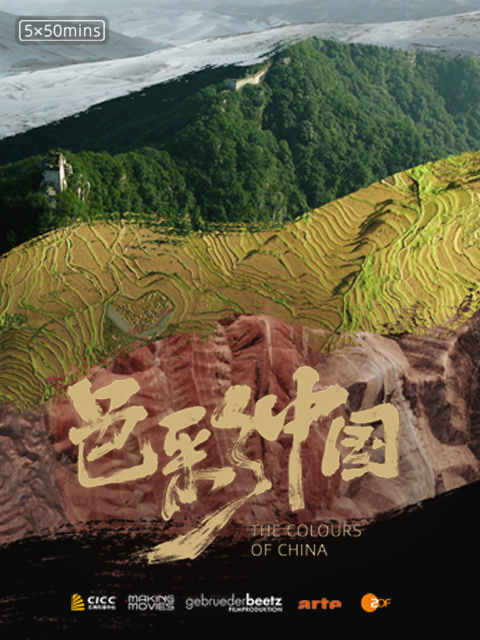 色彩中国封面图