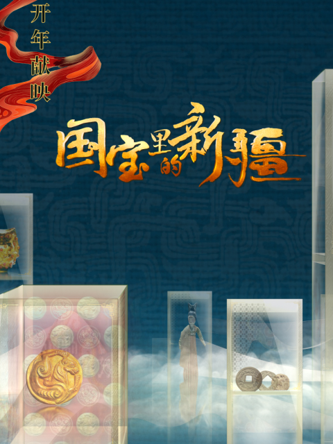 国宝里的新疆封面图