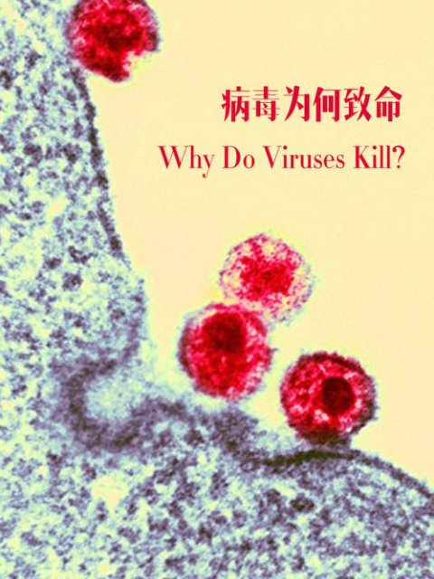 病毒为何致命封面图