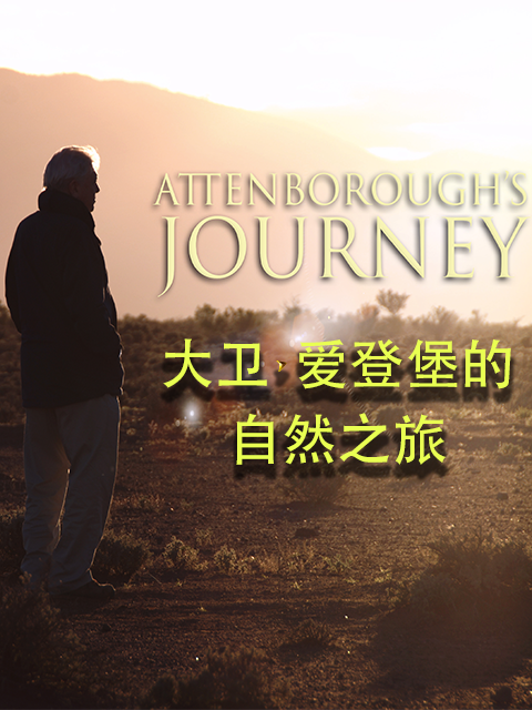 大卫·爱登堡的自然之旅封面图