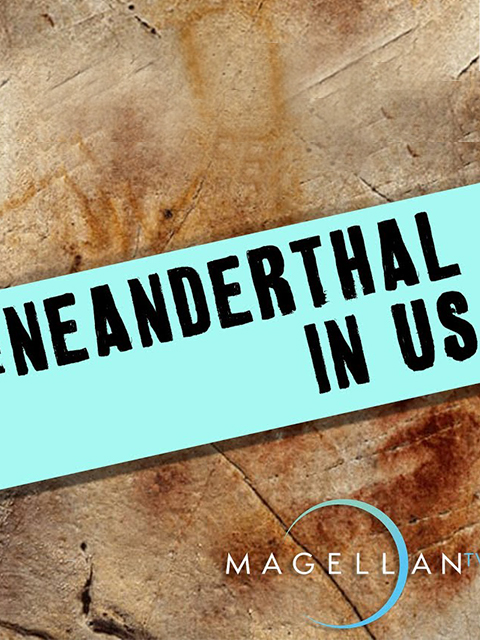 揭秘穴居人封面图