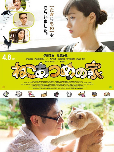 猫咪后院之家封面图