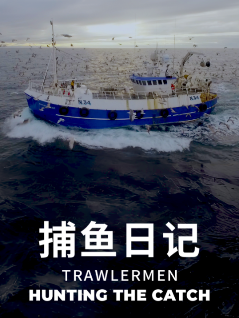 捕鱼日记封面图