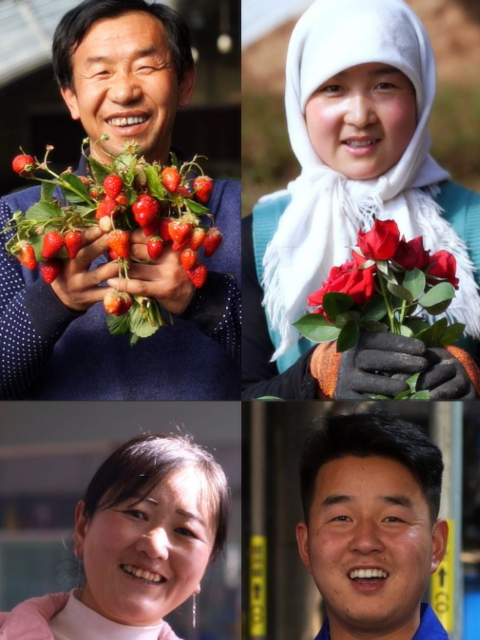 那山那园封面图