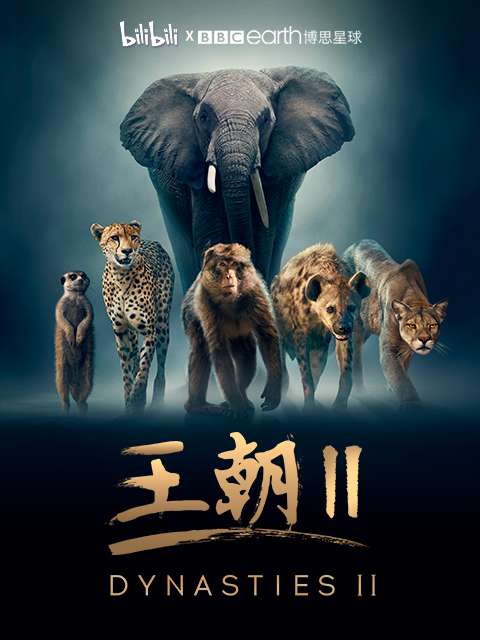 王朝 2（中配版）封面图