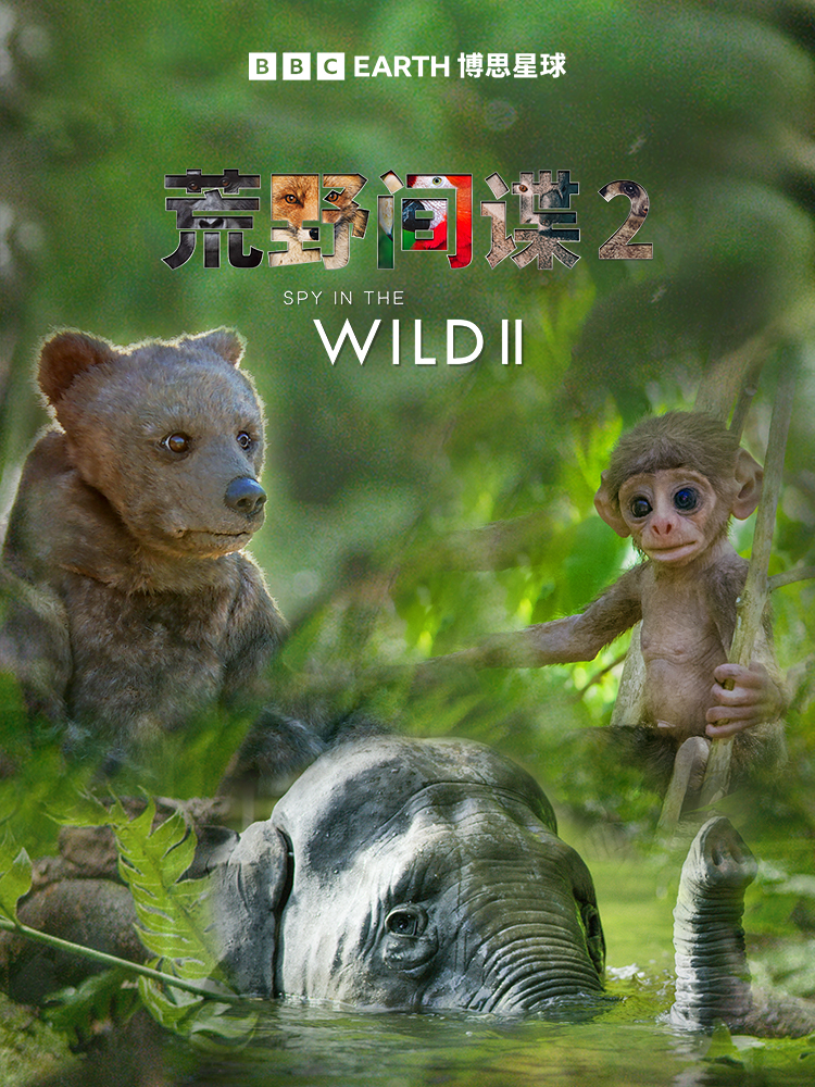 荒野间谍 第二季封面图