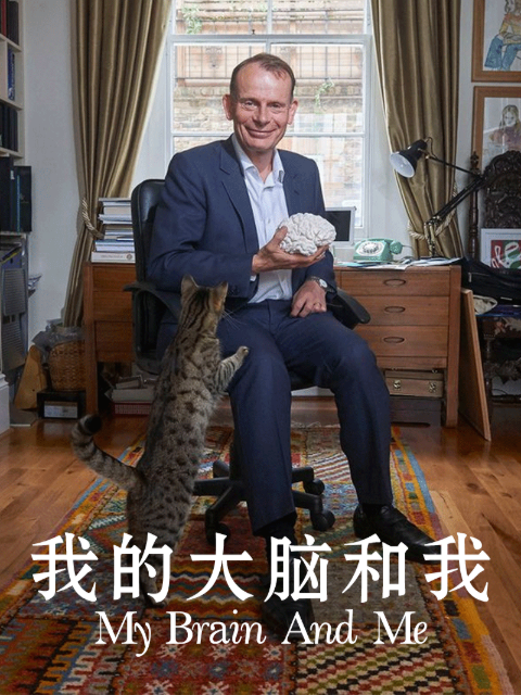 我和我的大脑封面图