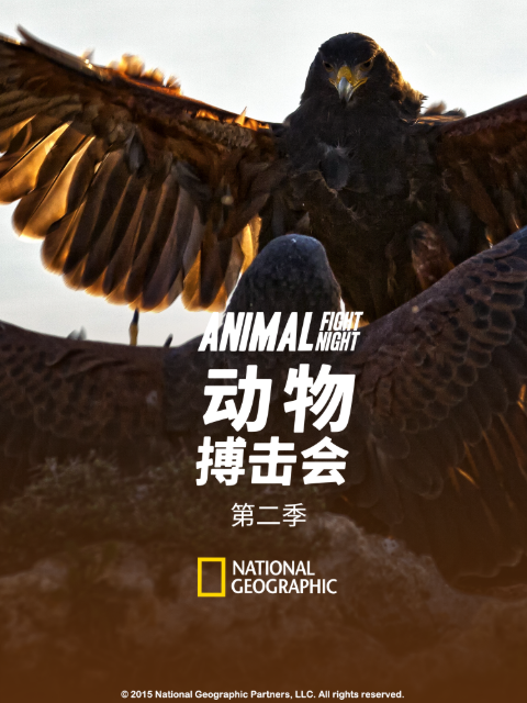 动物搏击会 第二季封面图