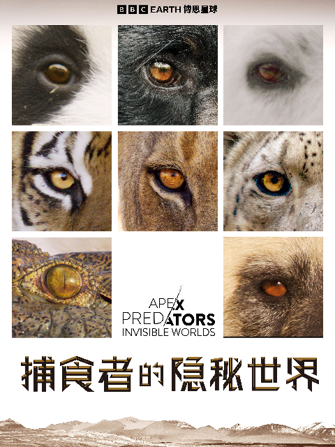 捕食者的隐秘世界封面图