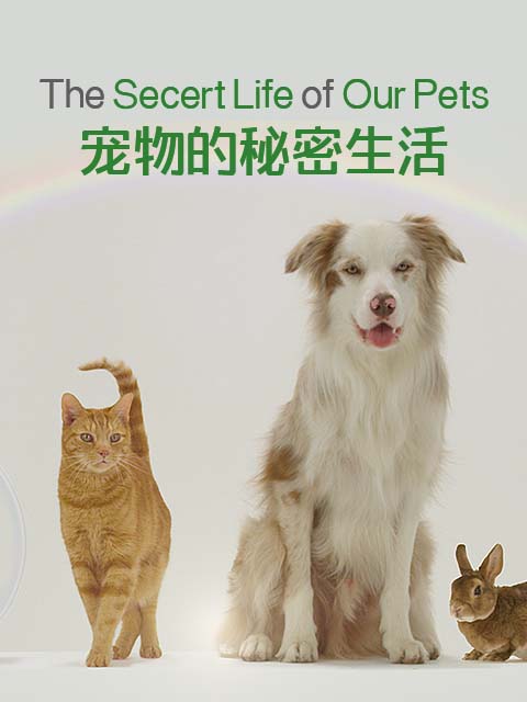 宠物的秘密生活封面图