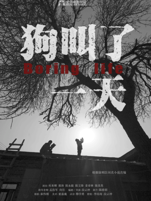 狗叫了一天封面图