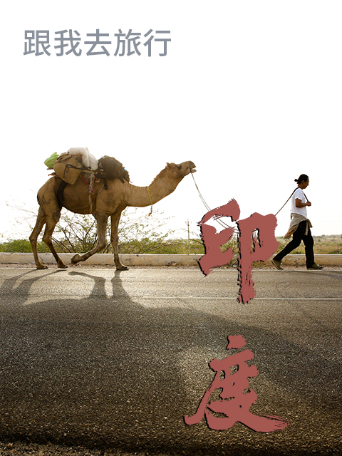 跟谷岳去旅行 印度篇封面图