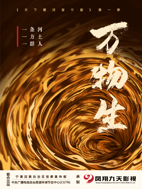 天下黄河富宁夏封面图