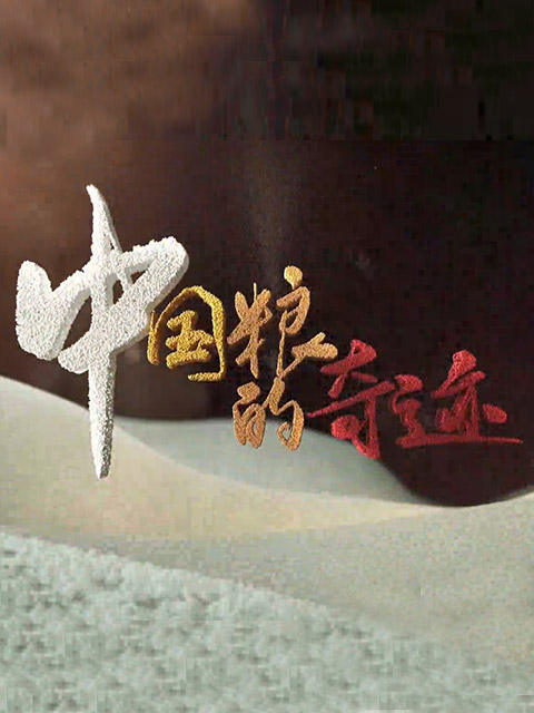 中国粮的奇迹封面图
