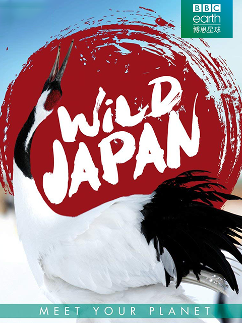 野性日本封面图