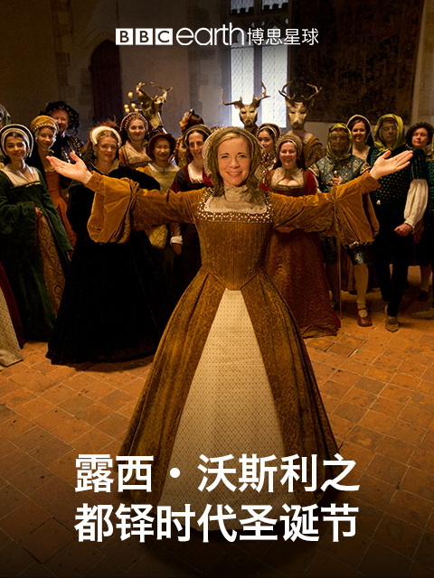 露西·沃斯利之都铎时代圣诞节封面图