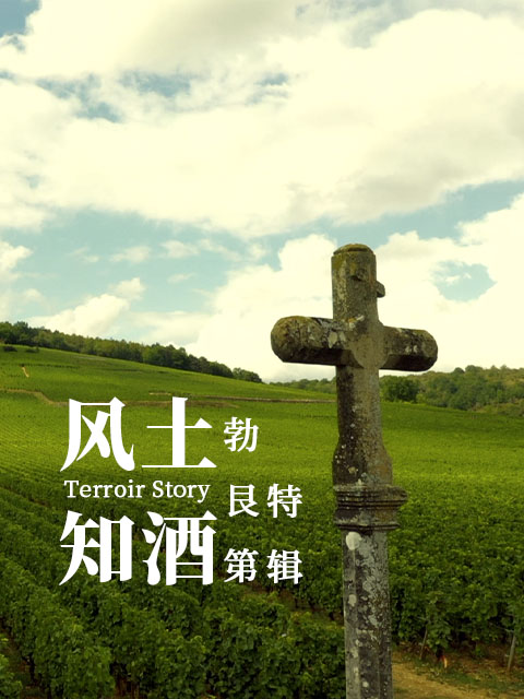 风土知酒 第二季封面图