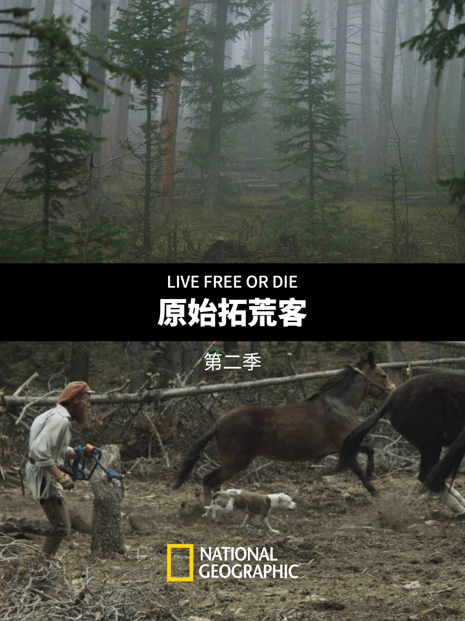 原始拓荒客 第二季封面图