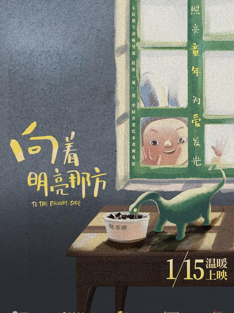 向着明亮那方封面图
