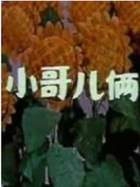 小哥儿俩封面图