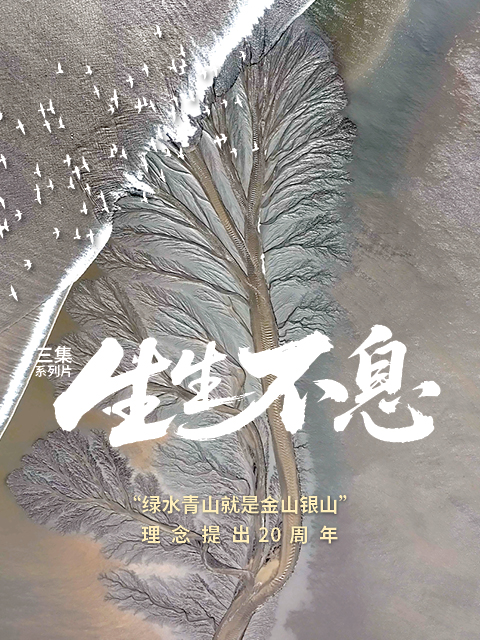 生生不息封面图