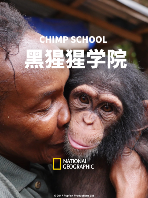 黑猩猩学院封面图